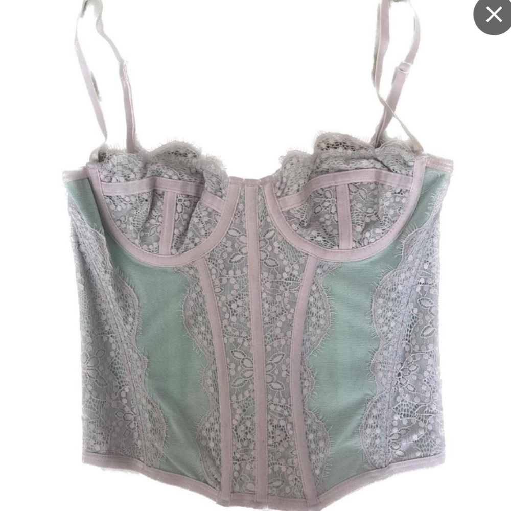 NWOT Urban Outfitters Women's Pink and Blue Corset
